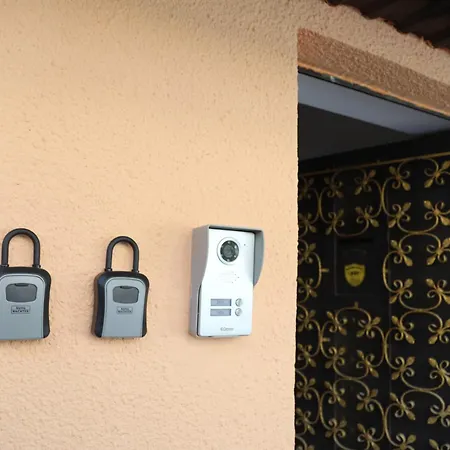 Kamelia 2 *